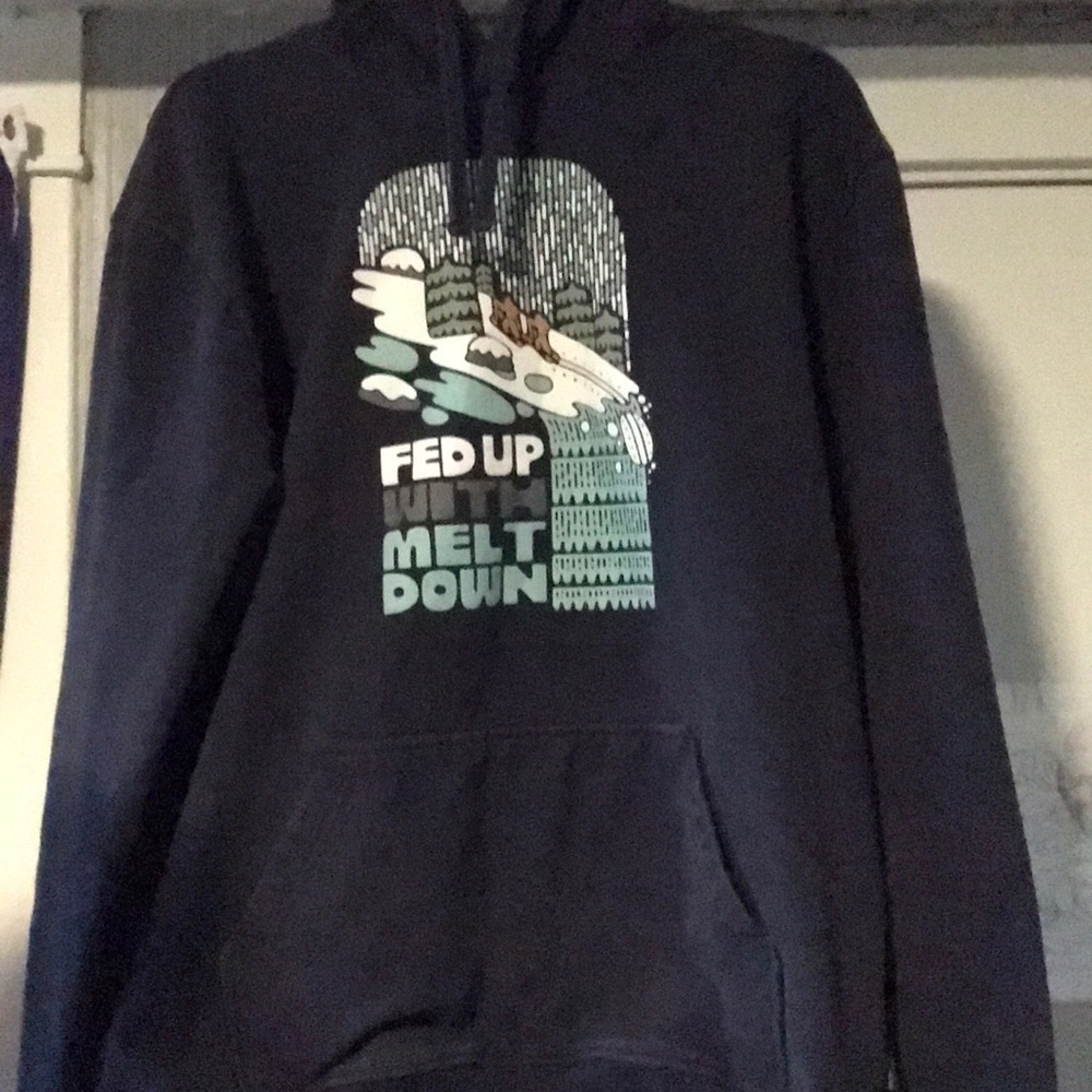 Patagonia navy hoodie